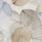 Uffizi crema Декор OS\A401\48000R 40x80 глянцевый обрезной_0