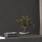 Badrock Shadow PRO Deco Art Керамогранит графитовый 60х120 R10Soft STR CB_4