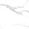 Calacatta Splendid Silver Керамогранит белый 60х60 Матовый_0